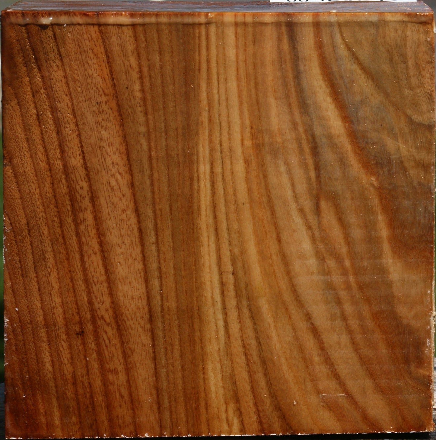 Figured Chinese Elm Bowl Blank