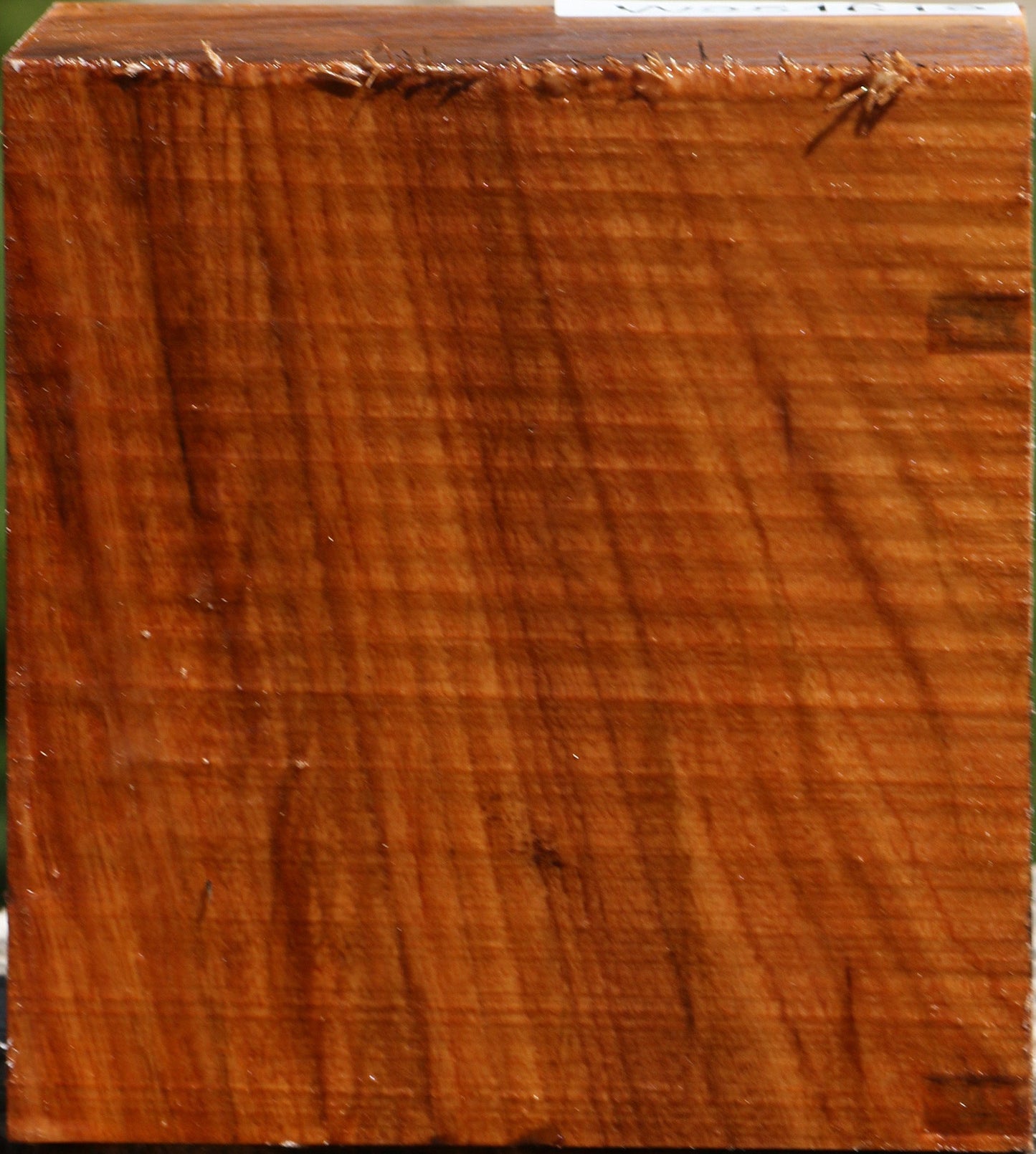 Chinese Elm Bowl Blank