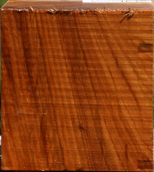 Chinese Elm Bowl Blank