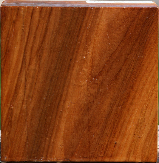 Chinese Elm Bowl Blank