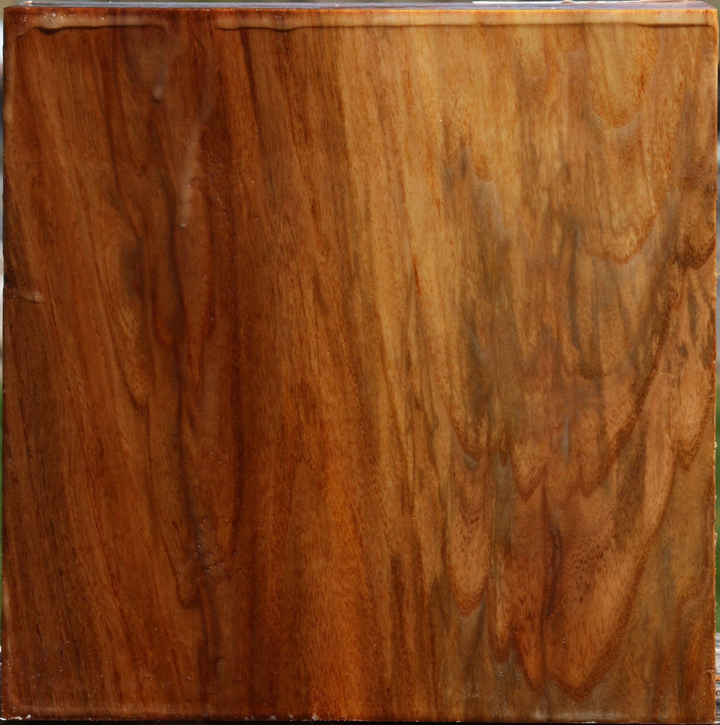 Figured Chinese Elm Bowl Blank