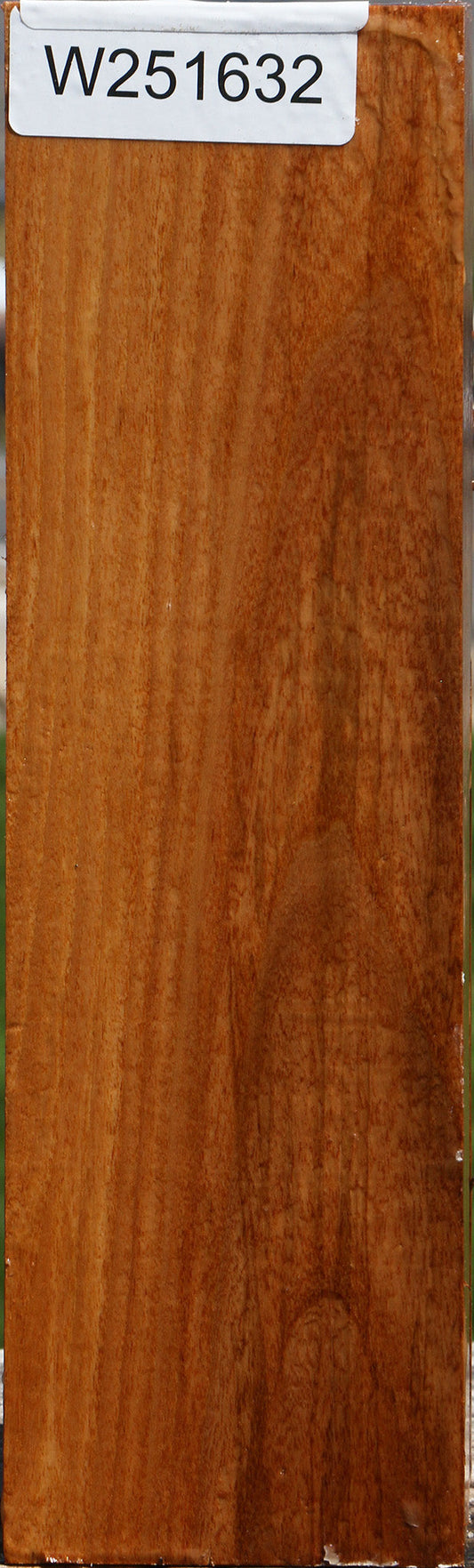 Chinese Elm Peppermill