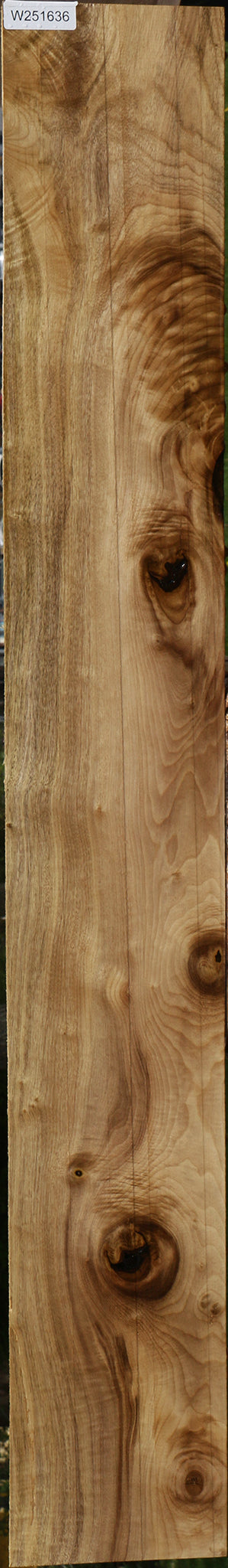Myrtle Lumber