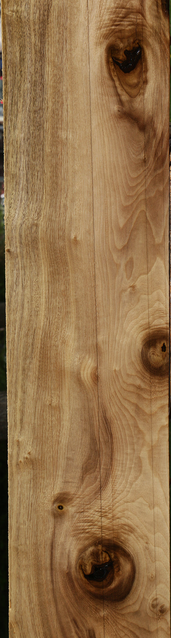 Myrtle Lumber