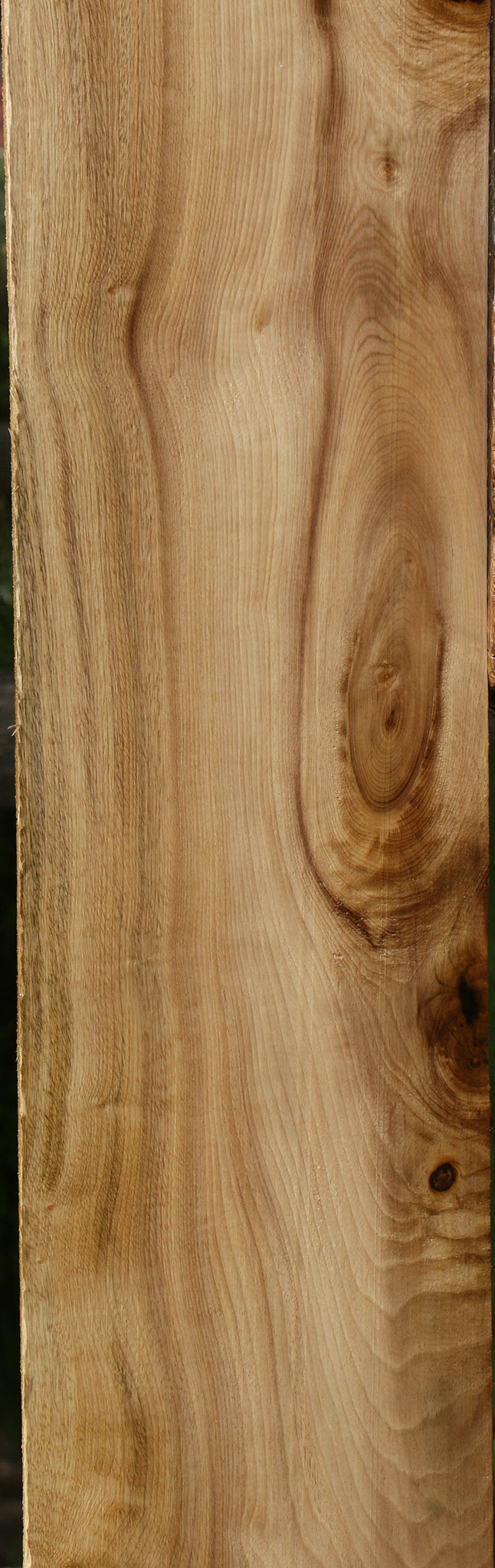 Myrtle Lumber