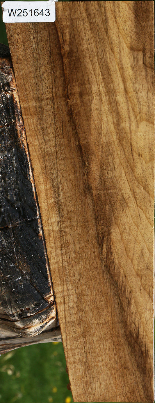 Extra Fancy Myrtle Lumber