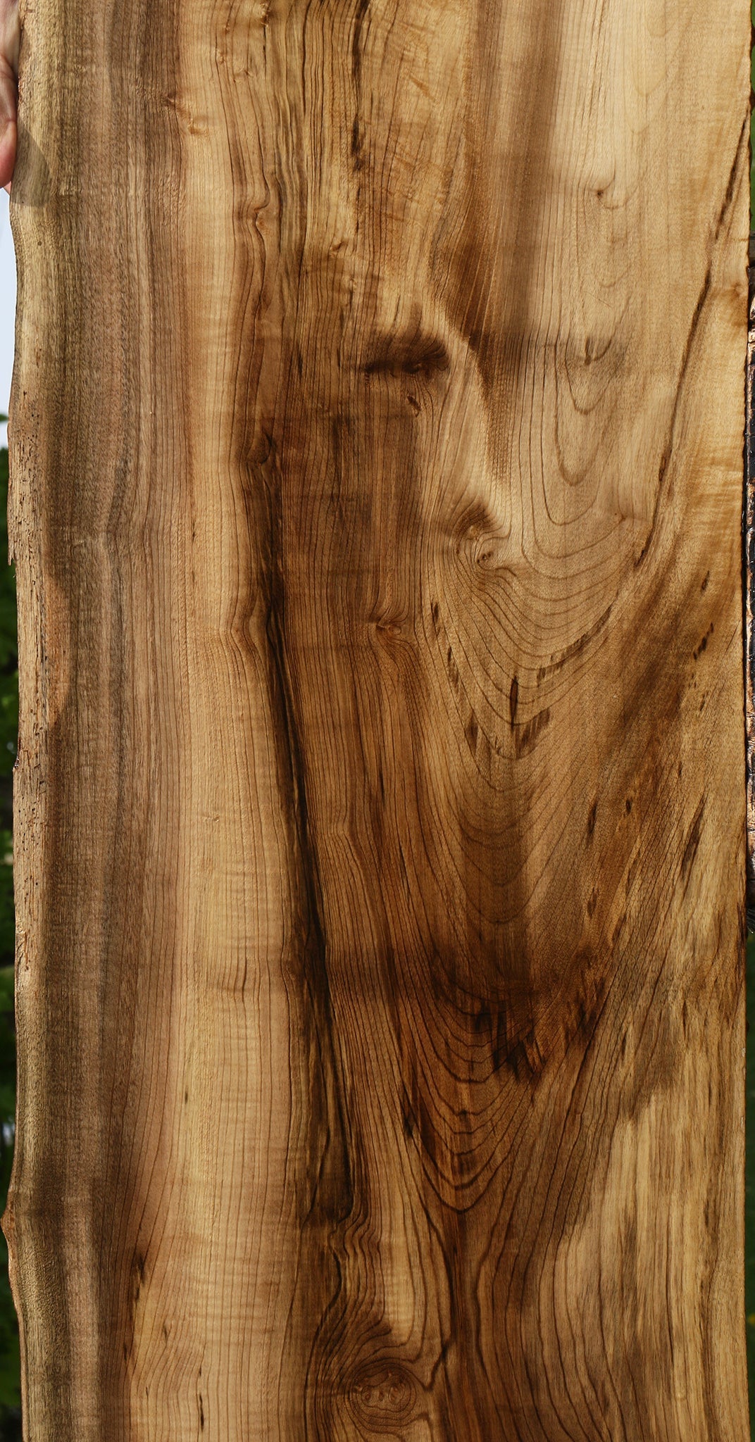 Figured Myrtle Live Edge Lumber