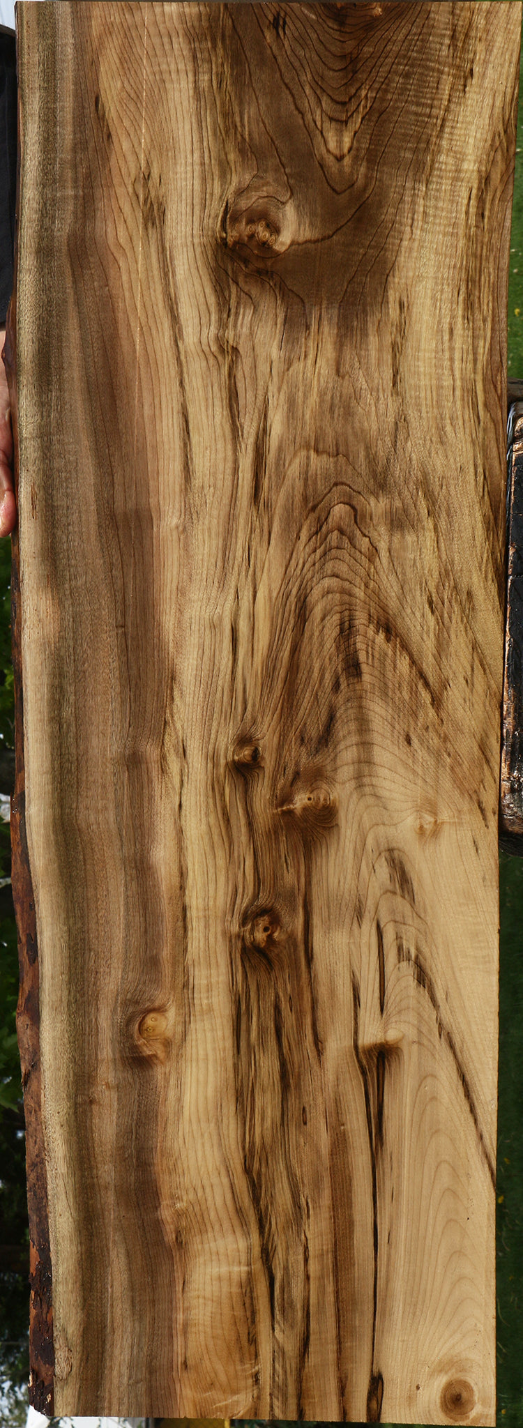 Figured Myrtle Live Edge Lumber