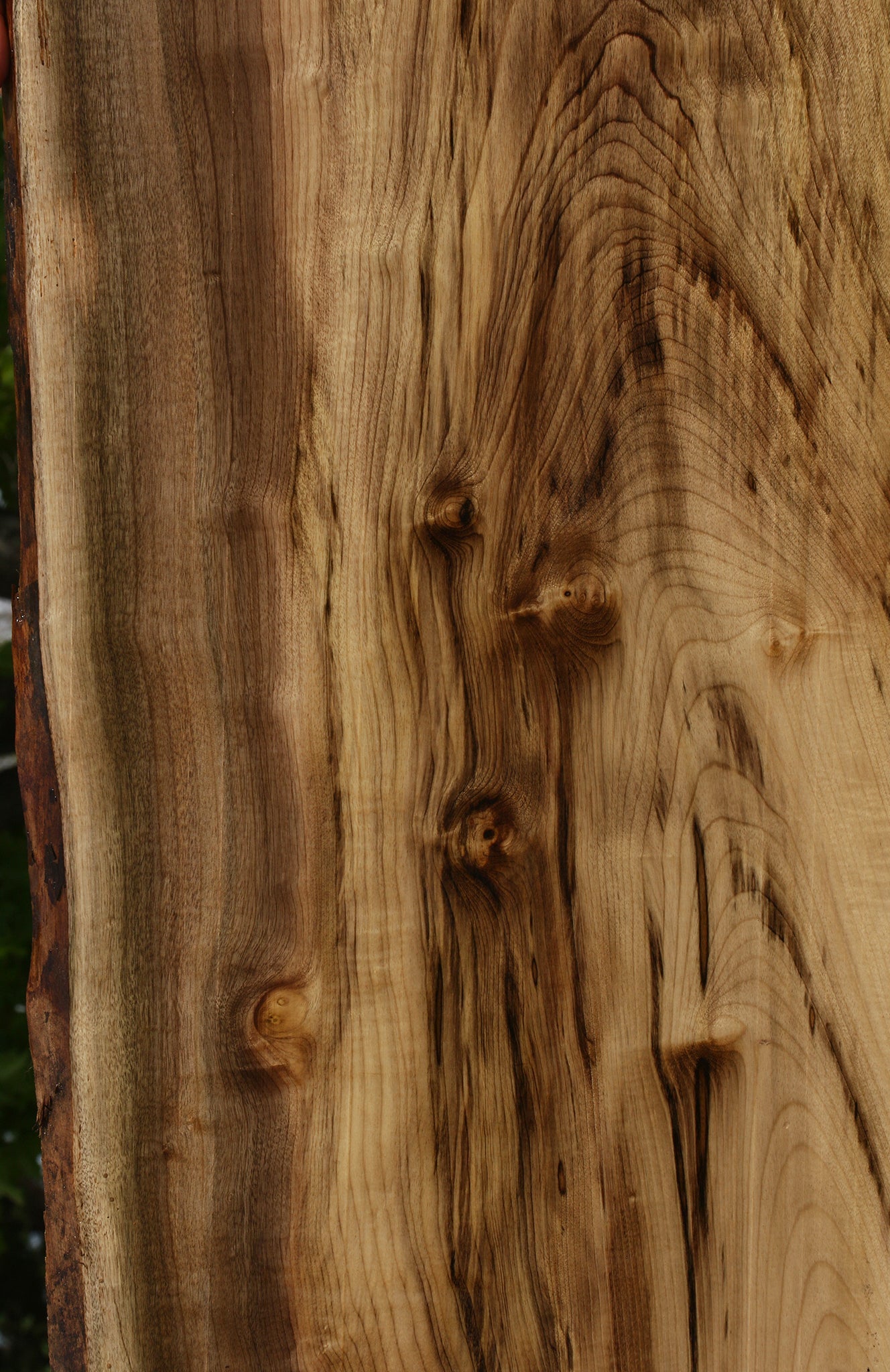 Figured Myrtle Live Edge Lumber