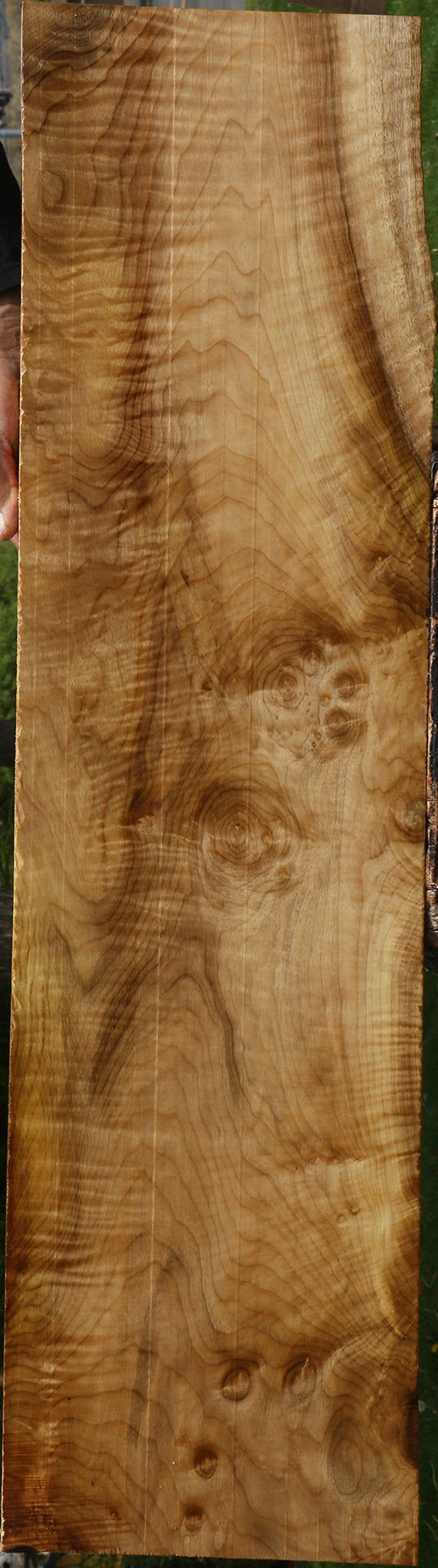 Myrtle Lumber