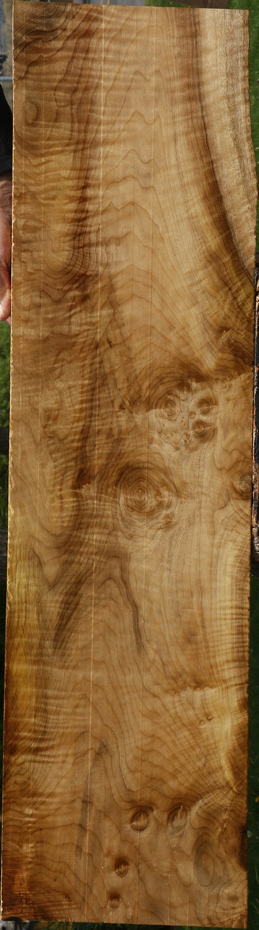 Myrtle Lumber
