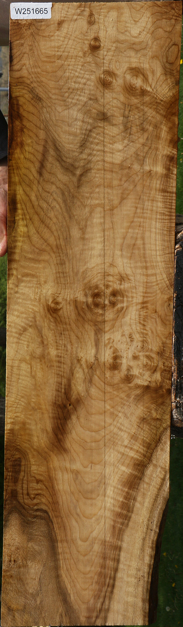 Myrtle Lumber
