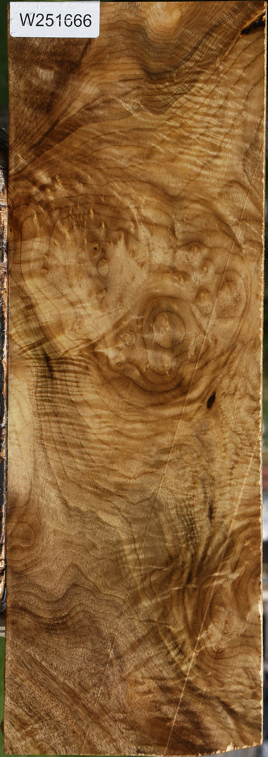 Myrtle Burl Drop Top Electric Guitar Billet