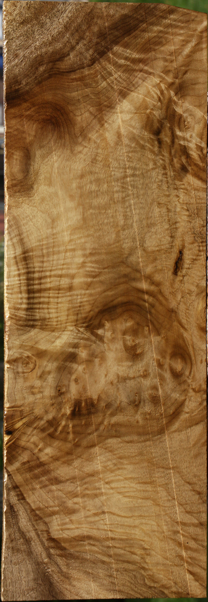 Myrtle Burl Drop Top Electric Guitar Billet