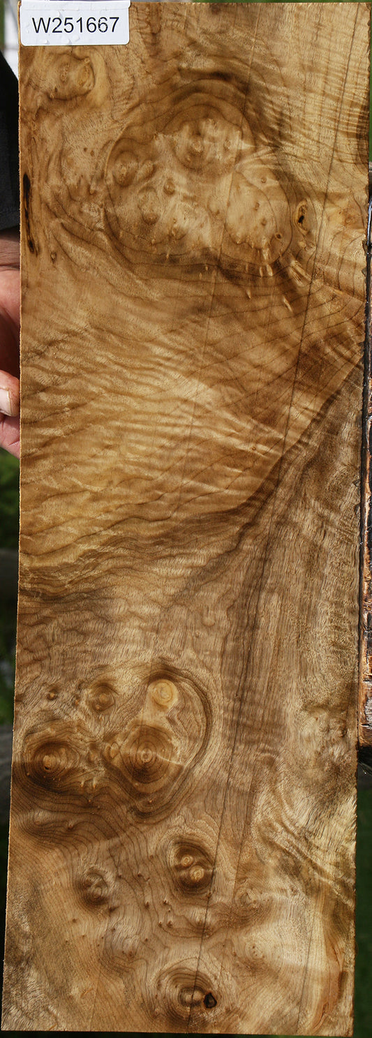 Extra Fancy Myrtle Instrument Lumber