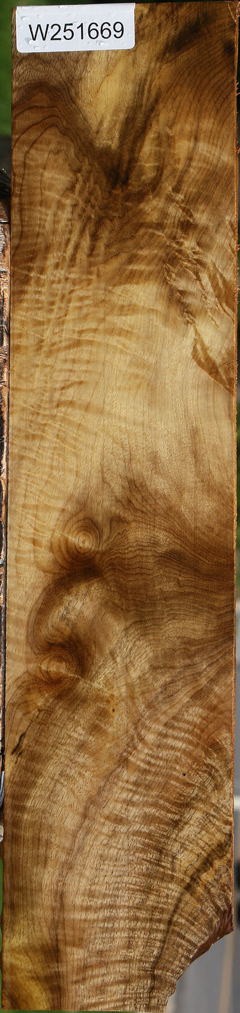 Extra Fancy Myrtle Lumber