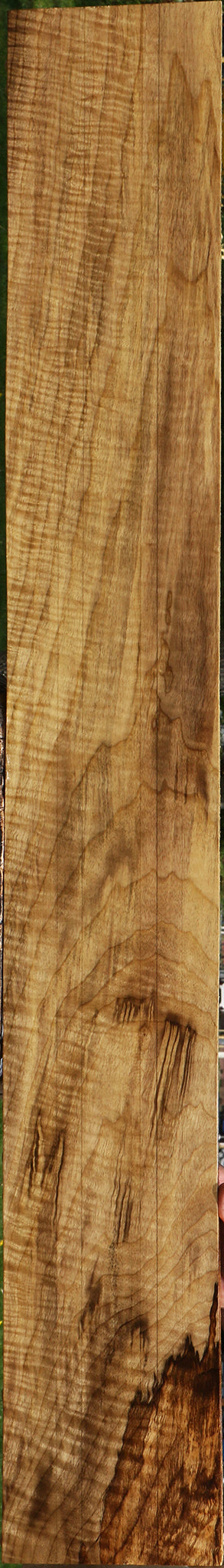 Extra Fancy Myrtle Lumber