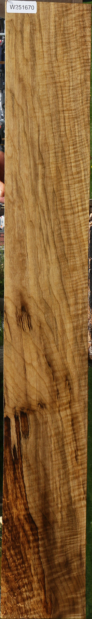 Extra Fancy Myrtle Lumber