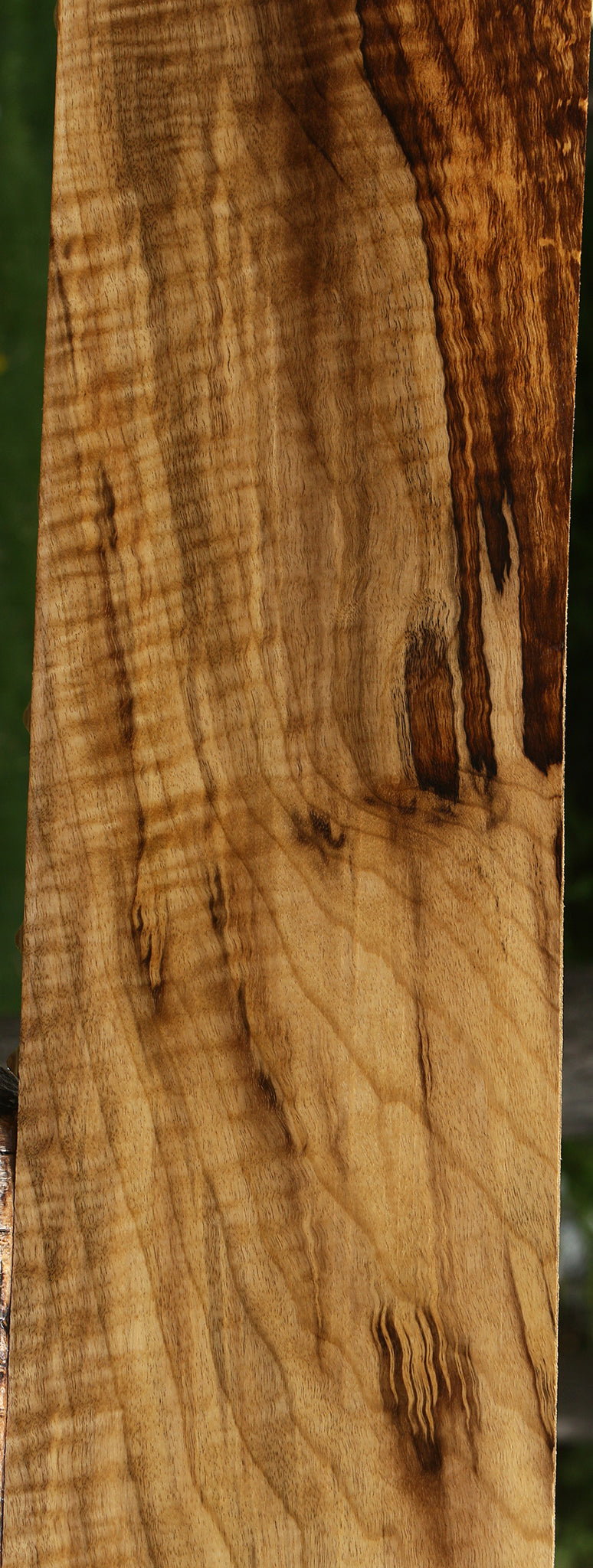 Extra Fancy Myrtle Lumber