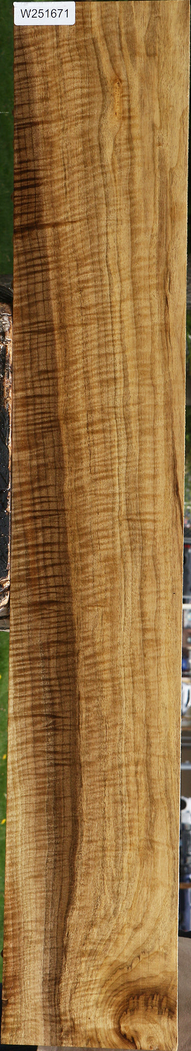 Extra Fancy Myrtle Lumber