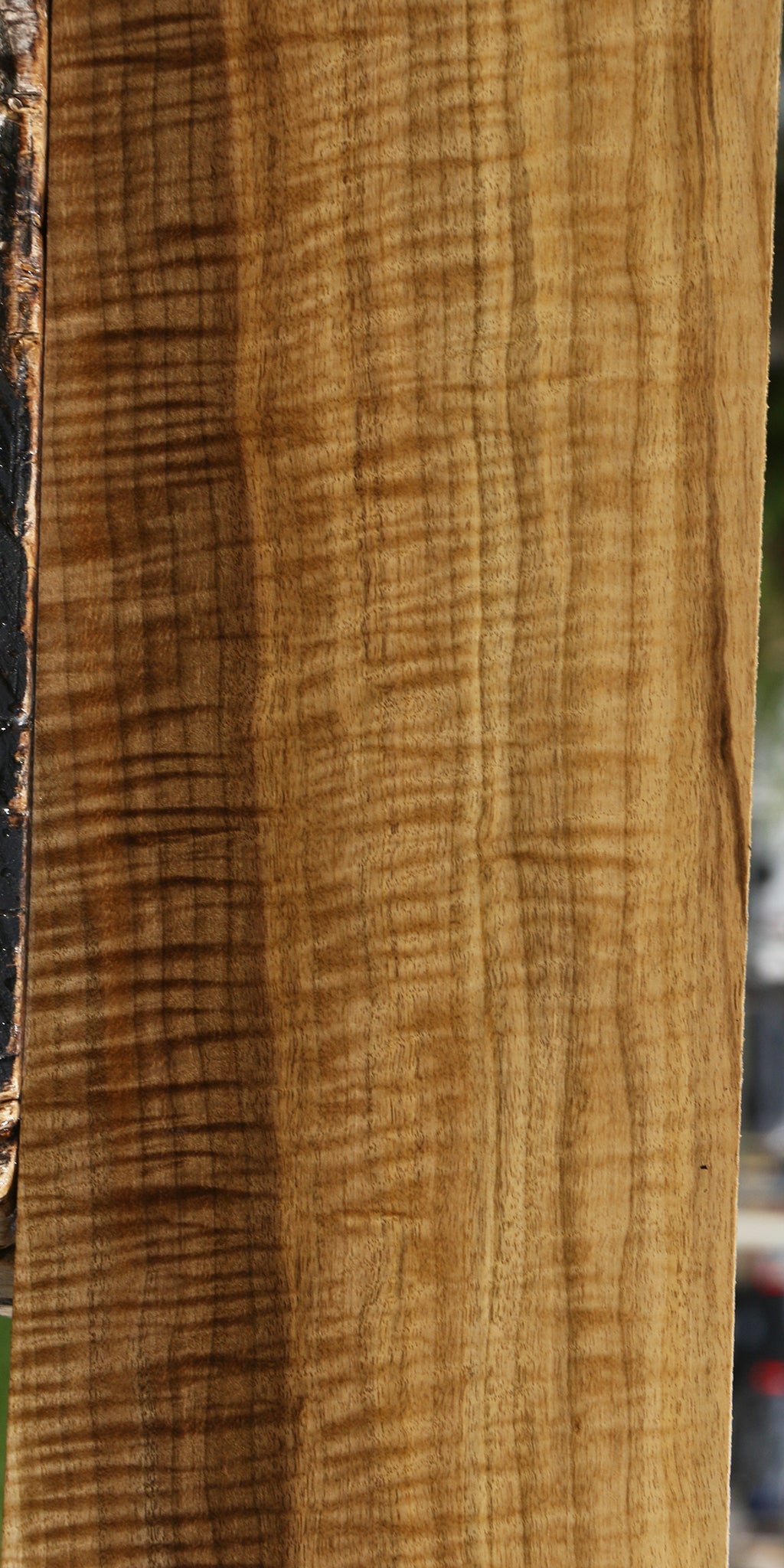 Extra Fancy Myrtle Lumber