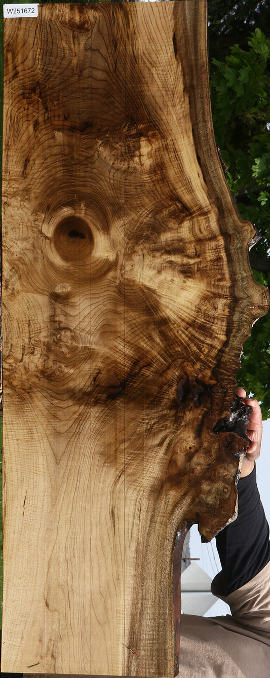 Extra Fancy Myrtle Live Edge Lumber