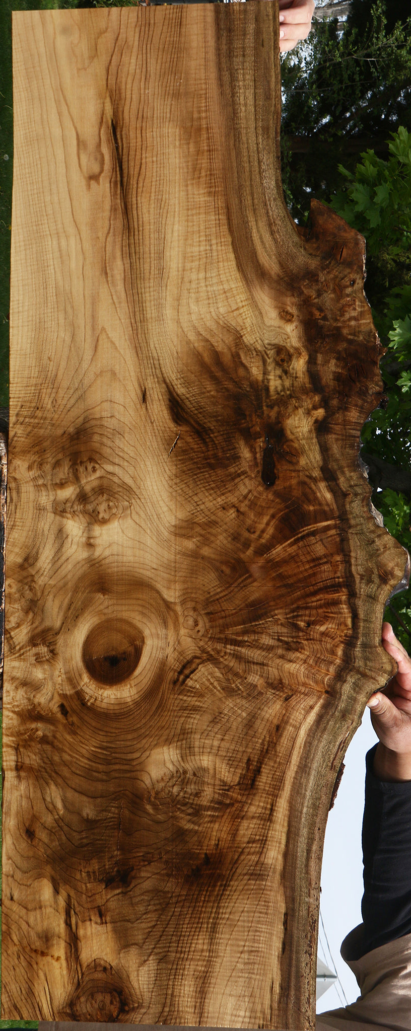 Extra Fancy Myrtle Live Edge Lumber