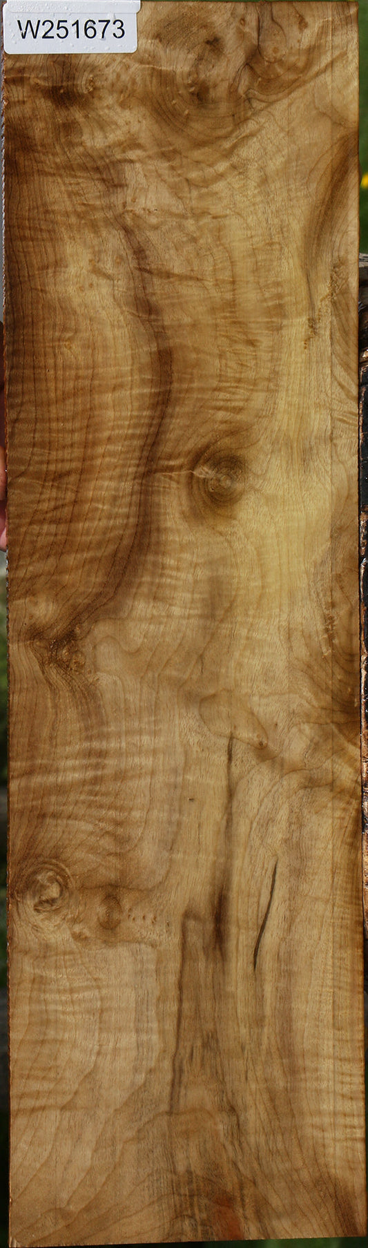 Extra Fancy Myrtle Micro Lumber