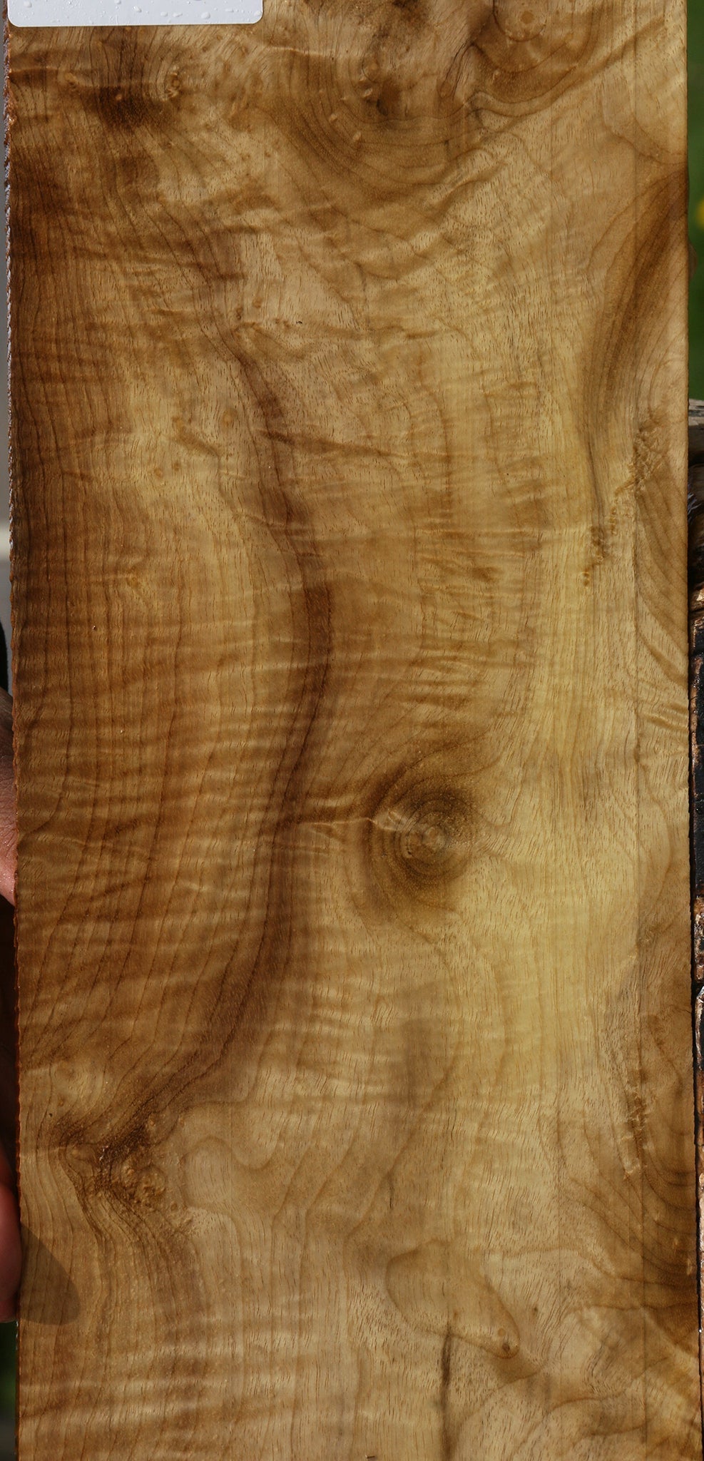 Extra Fancy Myrtle Micro Lumber