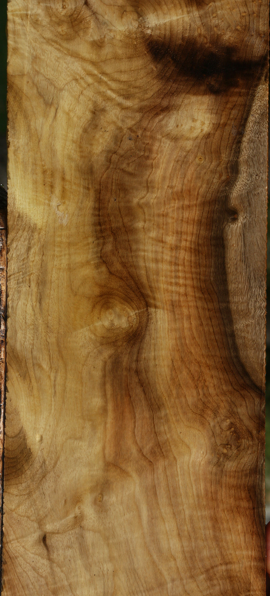 Extra Fancy Myrtle Micro Lumber