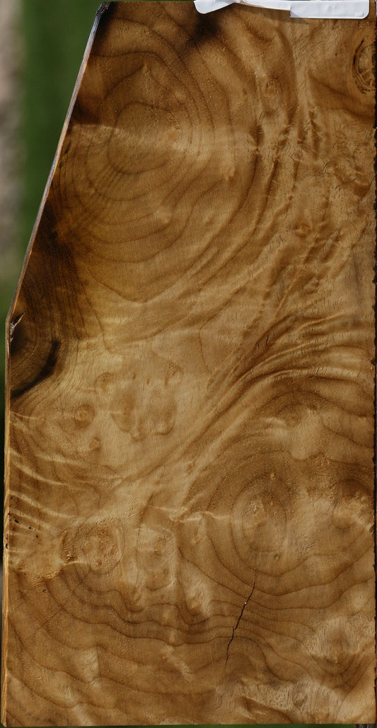 Myrtle Burl Lumber