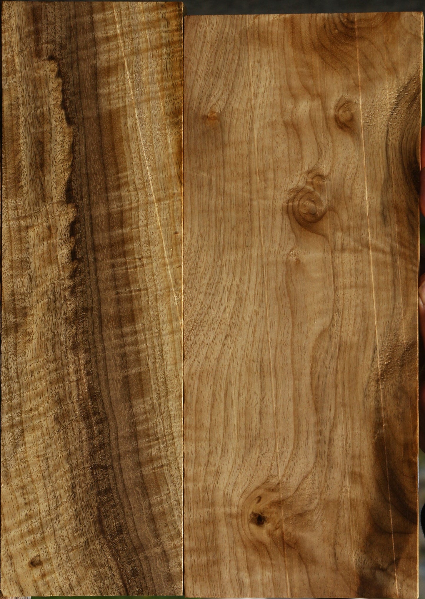 Extra Fancy Myrtle Lumber 2 Pack