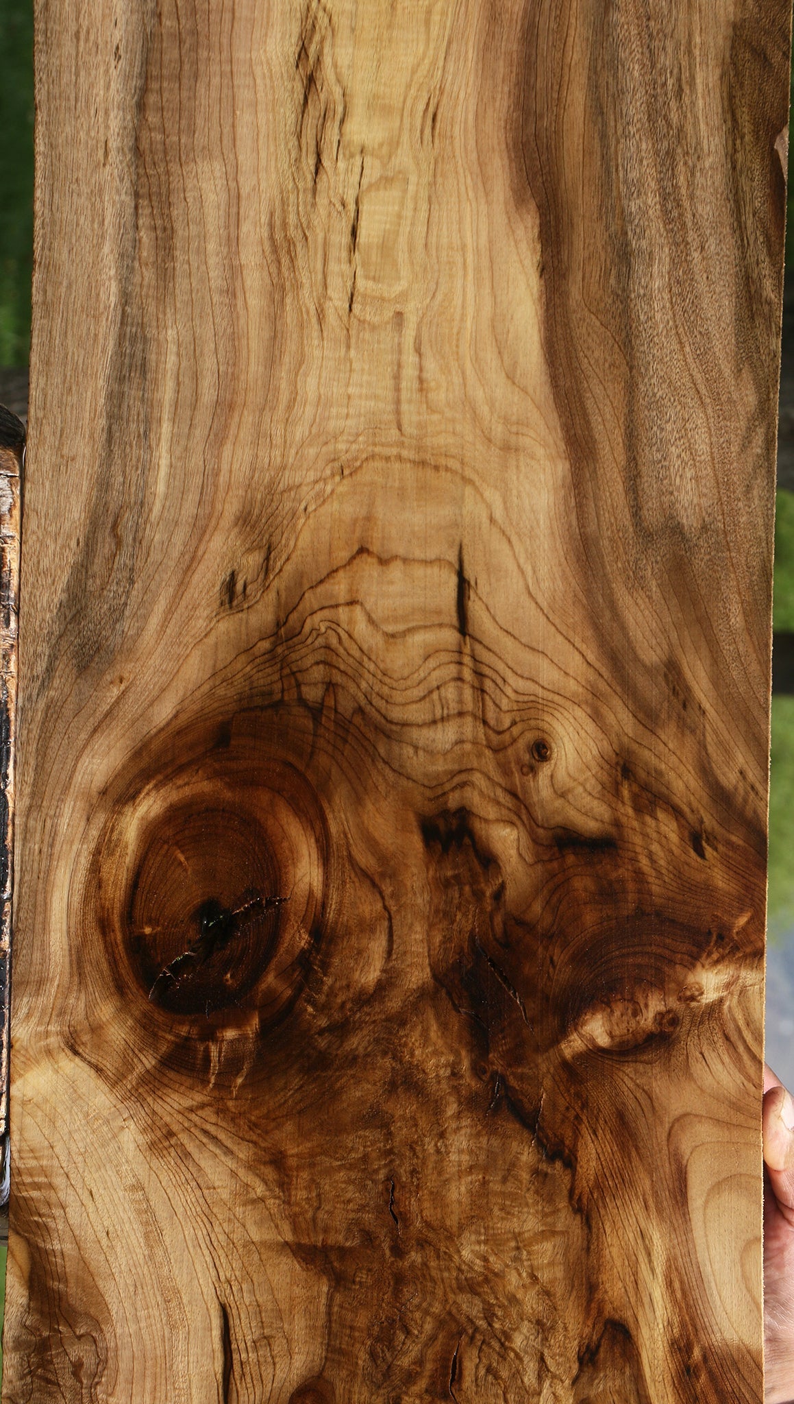 Extra Fancy Myrtle Lumber