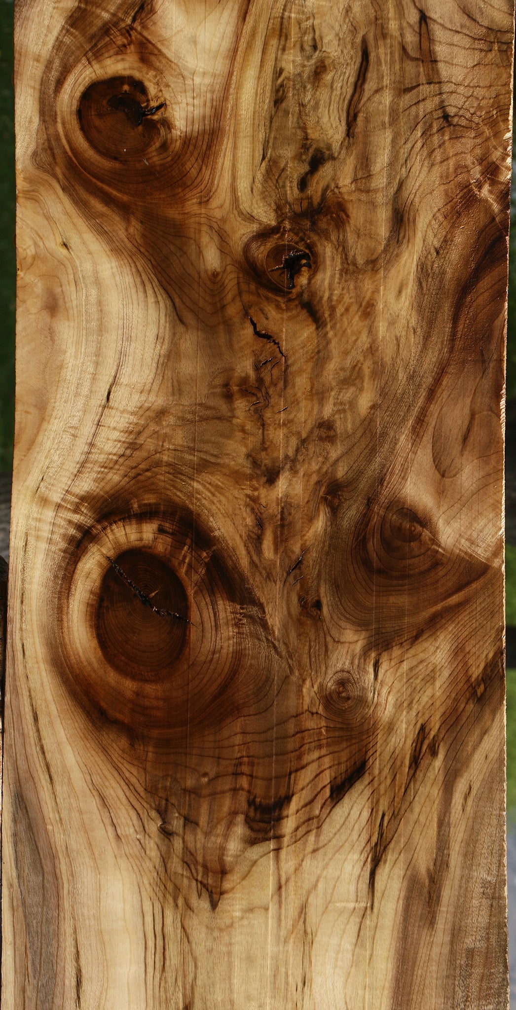 Extra Fancy Myrtle Lumber