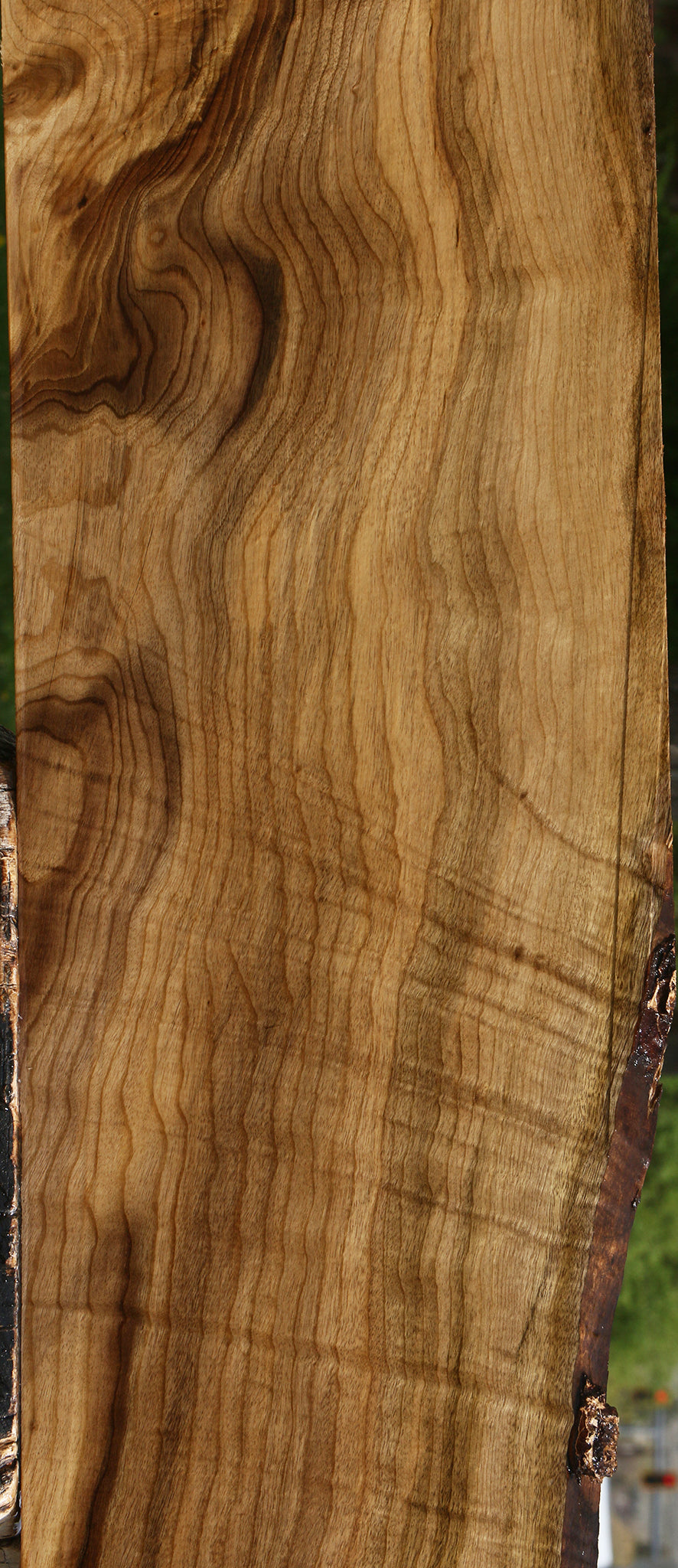 Extra Fancy Myrtle Lumber