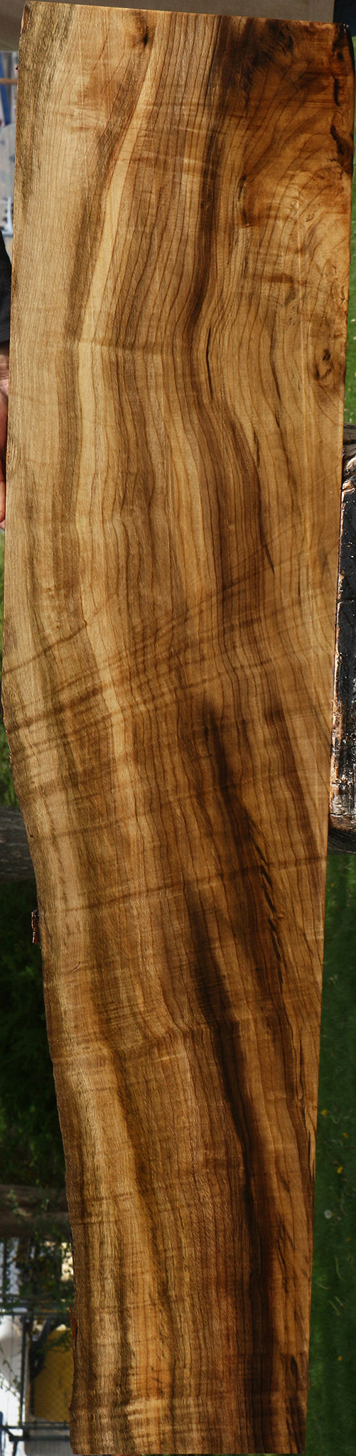 Extra Fancy Myrtle Lumber