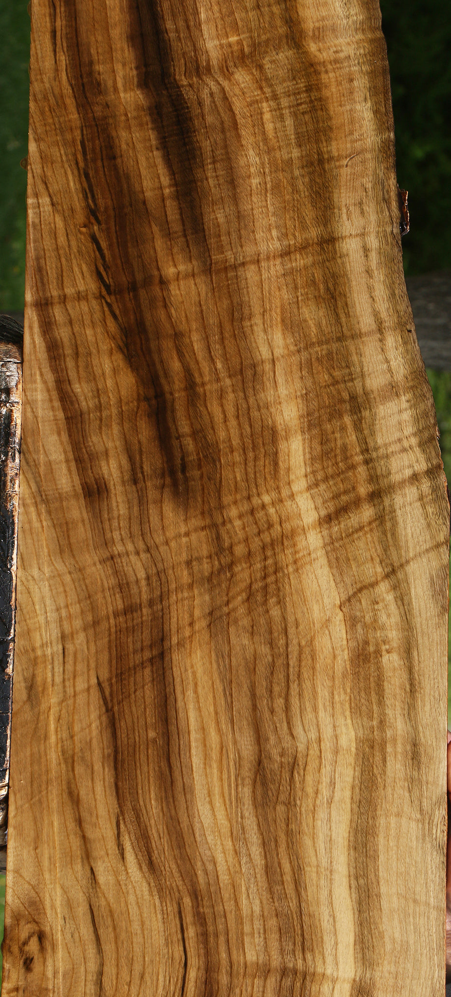 Extra Fancy Myrtle Lumber