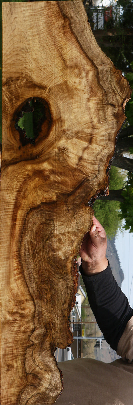 Extra Fancy Myrtle Burl Live Edge Lumber