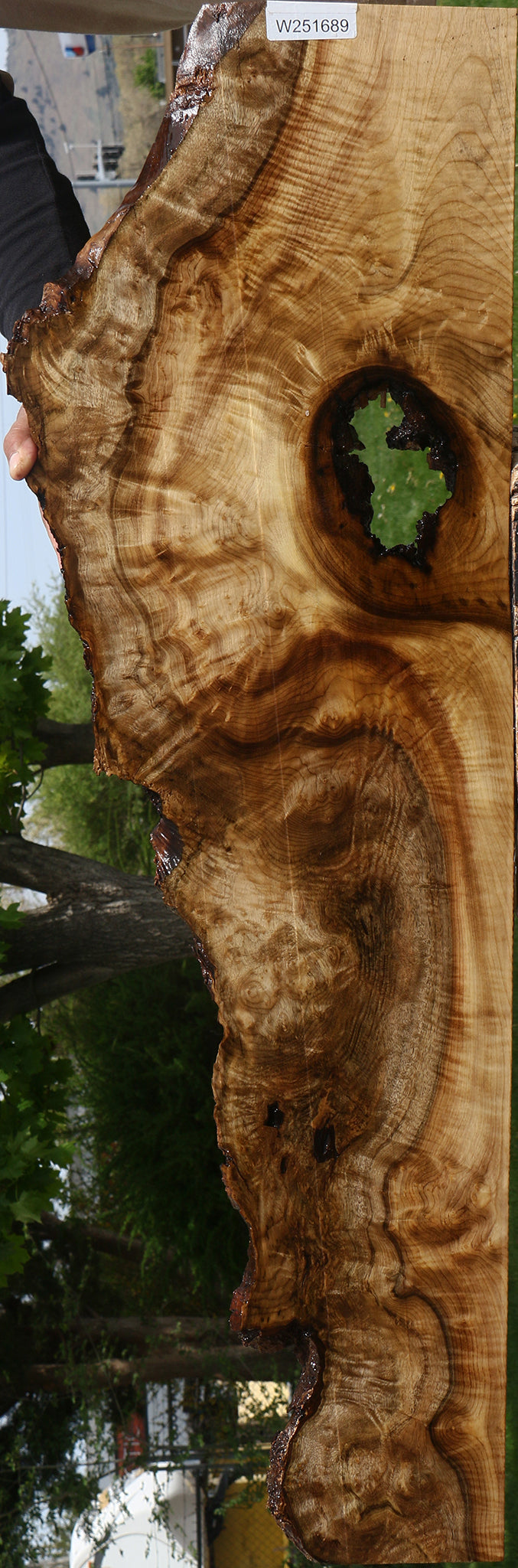 Extra Fancy Myrtle Burl Live Edge Lumber