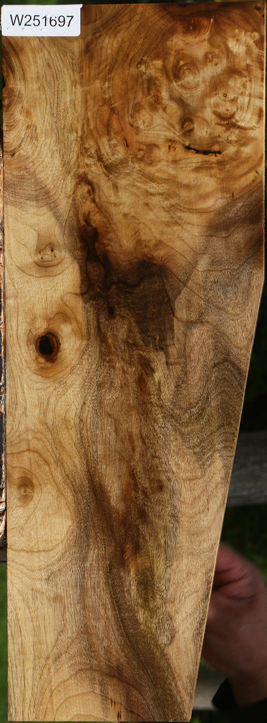 Extra Fancy Myrtle Lumber