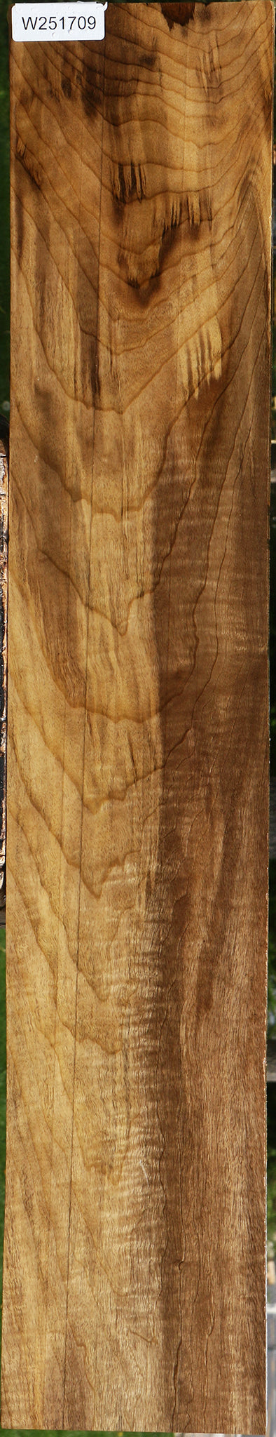 Extra Fancy Myrtle Lumber