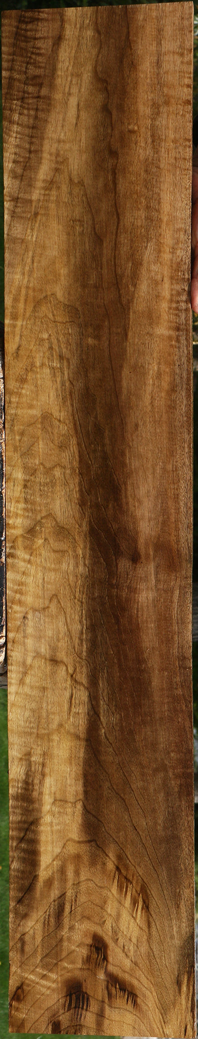 Extra Fancy Myrtle Lumber
