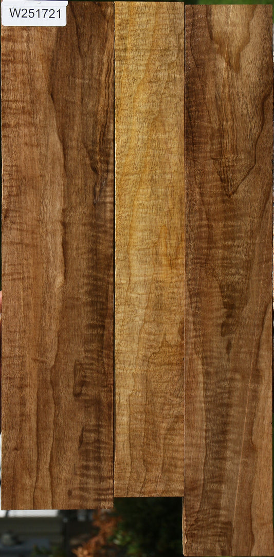 Extra Fancy Myrtle Lumber 3 Pack