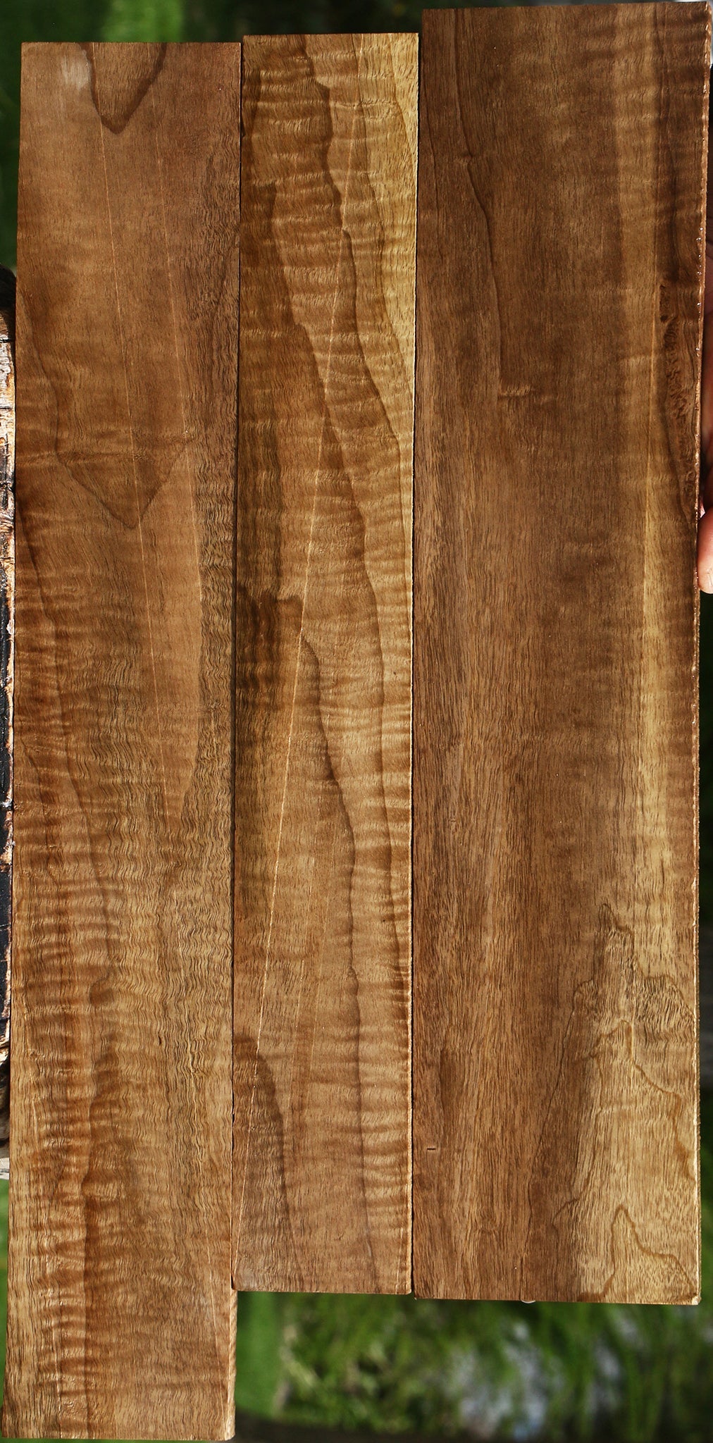 Extra Fancy Myrtle Lumber 3 Pack