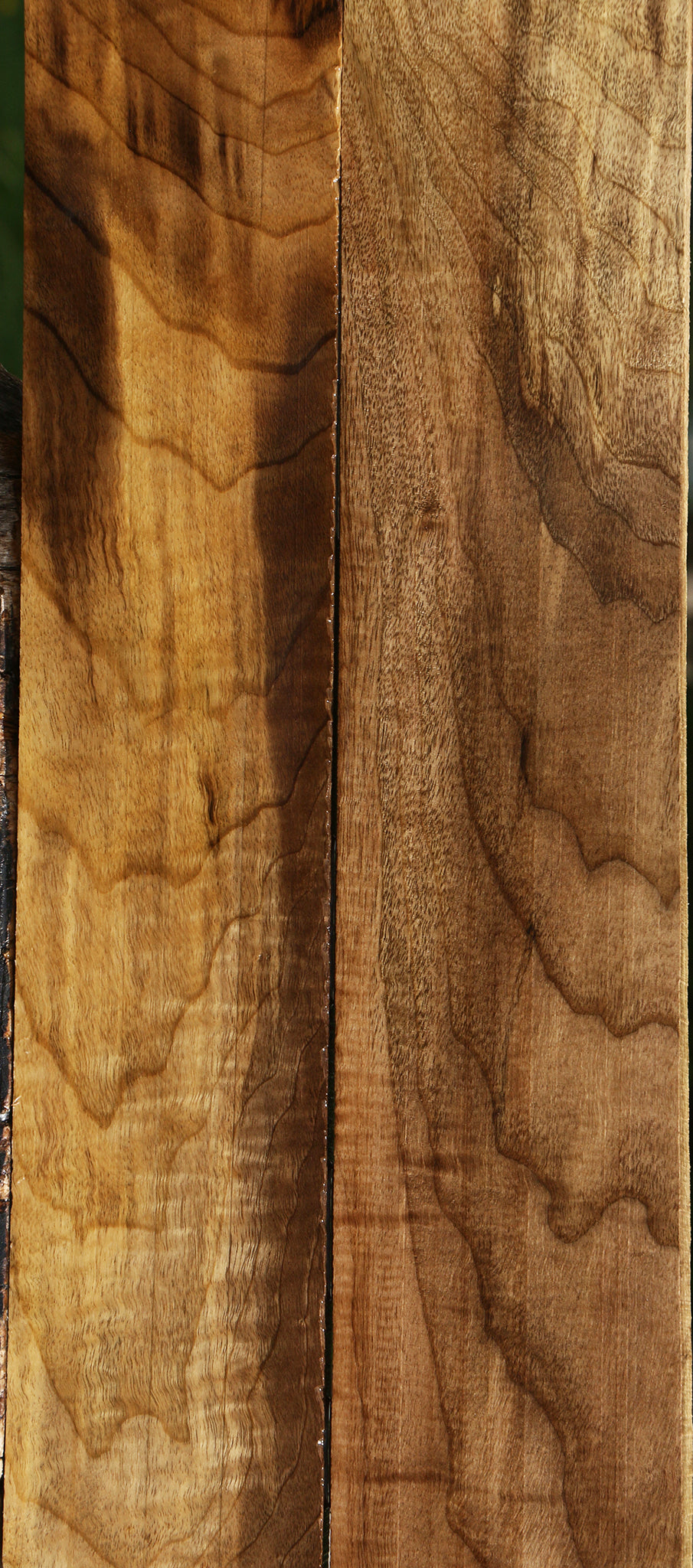 Myrtle Lumber 2 Pack