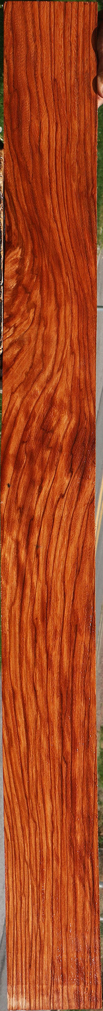 Extra Fancy Ebiara Lumber