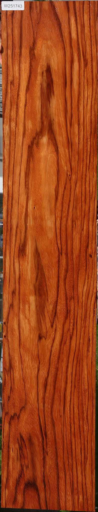 Ebiara Lumber