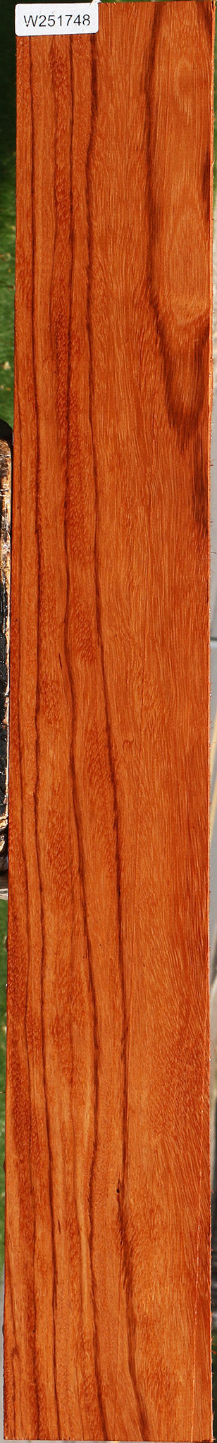 Ebiara Lumber