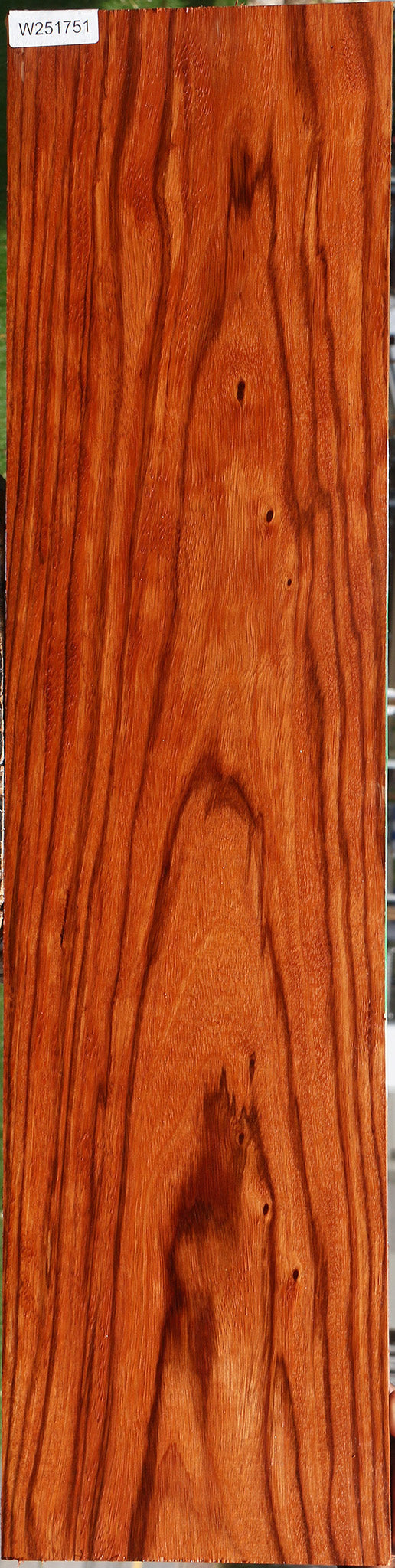 Ebiara Lumber
