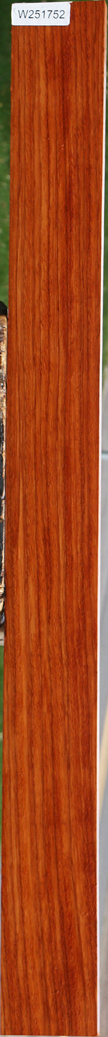 Ebiara Lumber